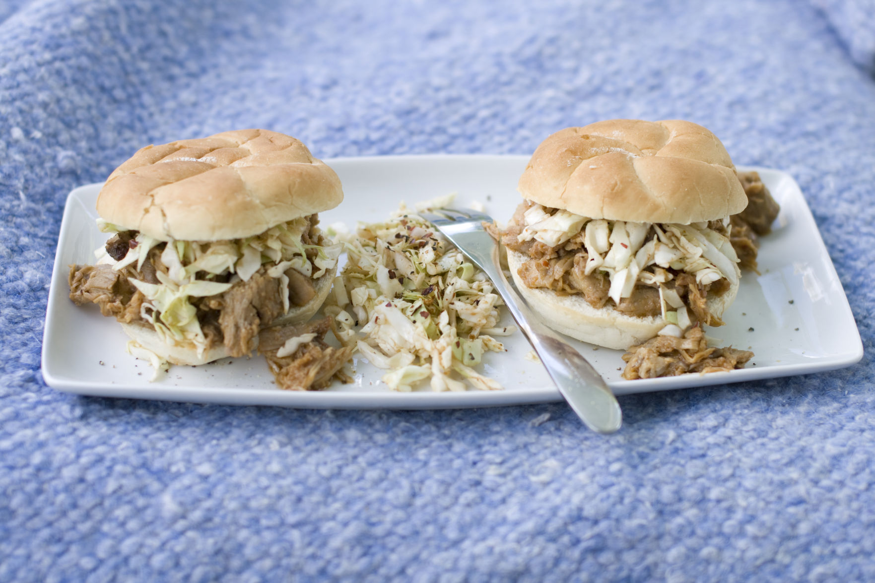 North Carolina: Pulled pork w/ east Carolina vinegar sauce